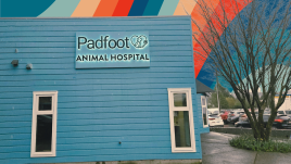 Custom outdoor business sign for Padfoot Animal Hospital — Straightline Graphics & Signs Ladysmith BC