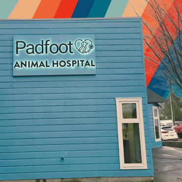 Custom outdoor business sign for Padfoot Animal Hospital — Straightline Graphics & Signs Ladysmith BC